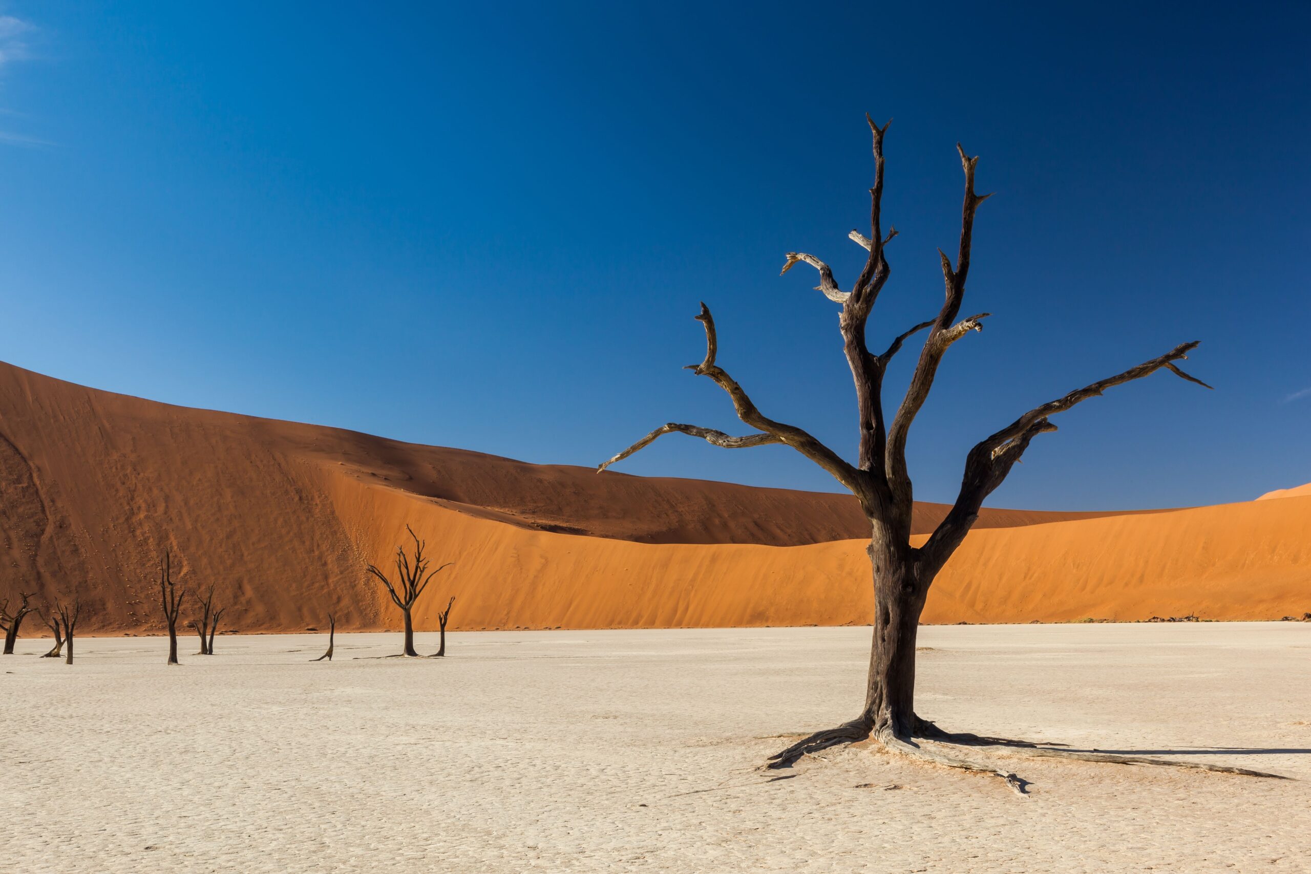 Dunas de Sossusvlei, Namíbia
